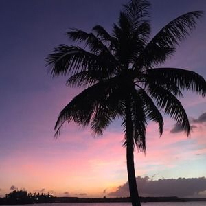 Meet your Posher, Sylvia